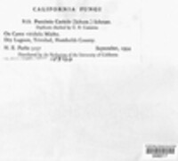 Puccinia caricis image